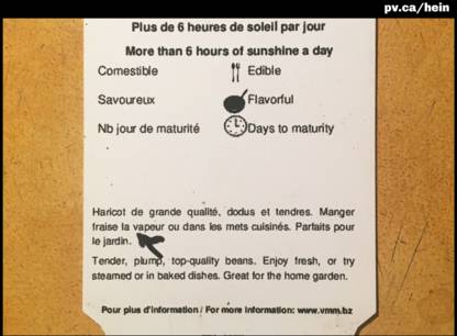 hein1124