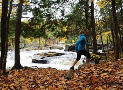 Visitez plus de 30 parcs régionaux gratuitement cet automne
