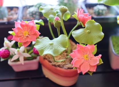 Attention aux photos de plantes créées par l’intelligence artificielle