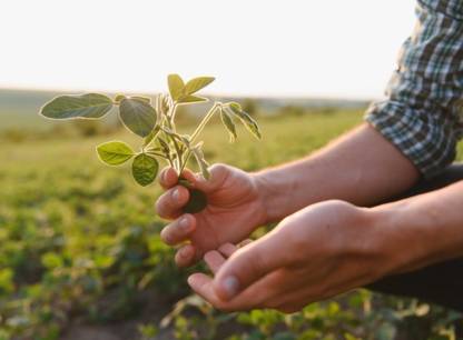 Que pensent les Québécois de la durabilité de leur agriculture ?