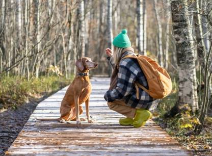 Comment choisir un éducateur canin ?