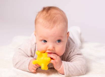 bebe