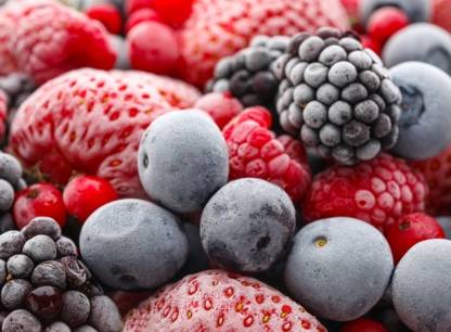 fruits-congeles.jpg