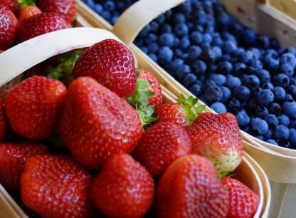 petits-fruits