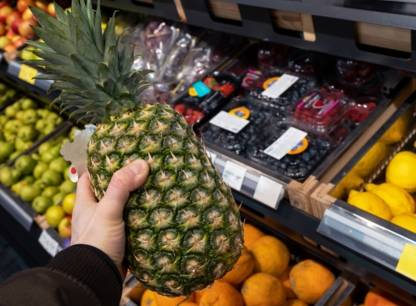 Une nouvelle plateforme québécoise vous paie pour photographier vos factures d’épicerie