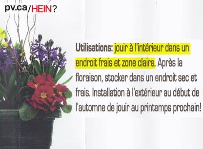hein461