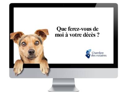 animal_deces_logo_photo_protegez_vous