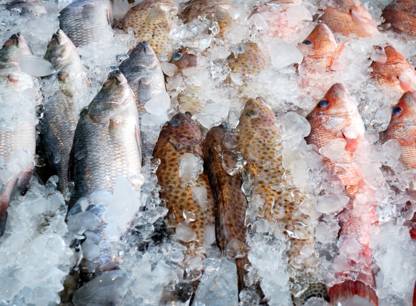 poissons