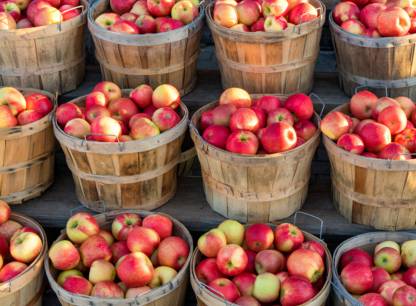 Saison des pommes : acheter au verger ou à l’épicerie ?