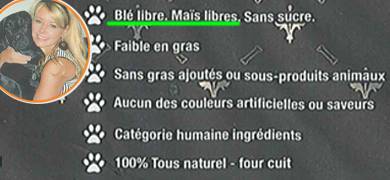 hein231