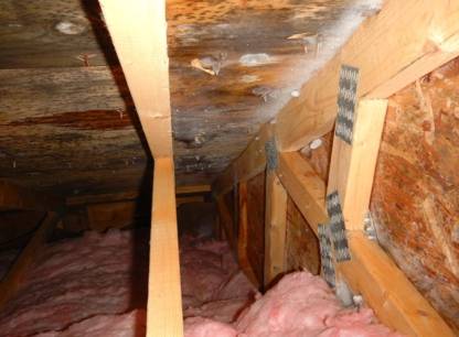 Pourquoi votre grenier est-il mouillé ?