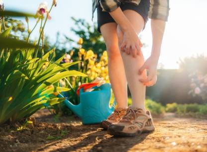 Pourquoi certaines personnes attirent-elles les moustiques ?