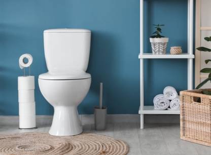 Comment choisir une toilette pour votre salle de bain