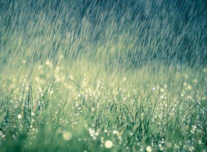 eau-pluie-jardinage-ecolo