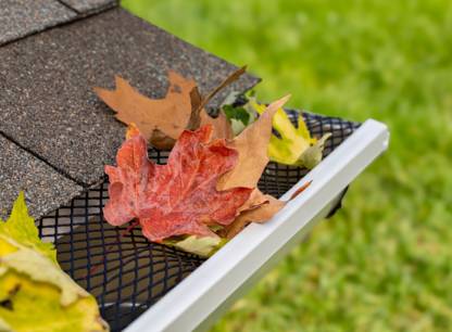 Conseils d’automne pour votre maison