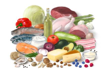 alimentation-hyperproteinees