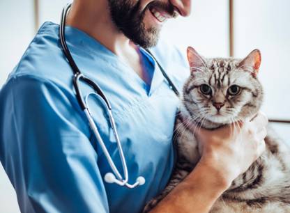 veterinaire