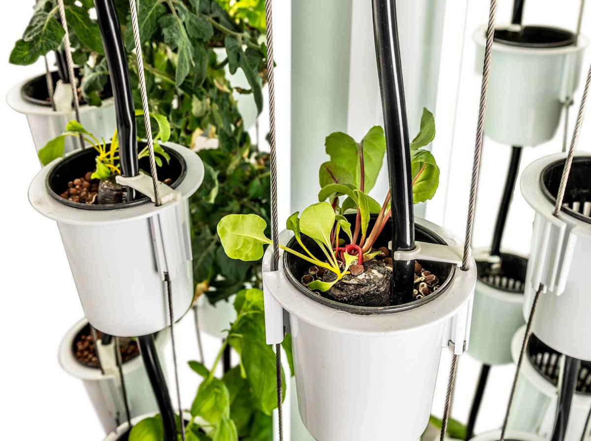 NUTRITOWER Vertical Hydroponic Indoor Garden | Protégez-Vous.ca