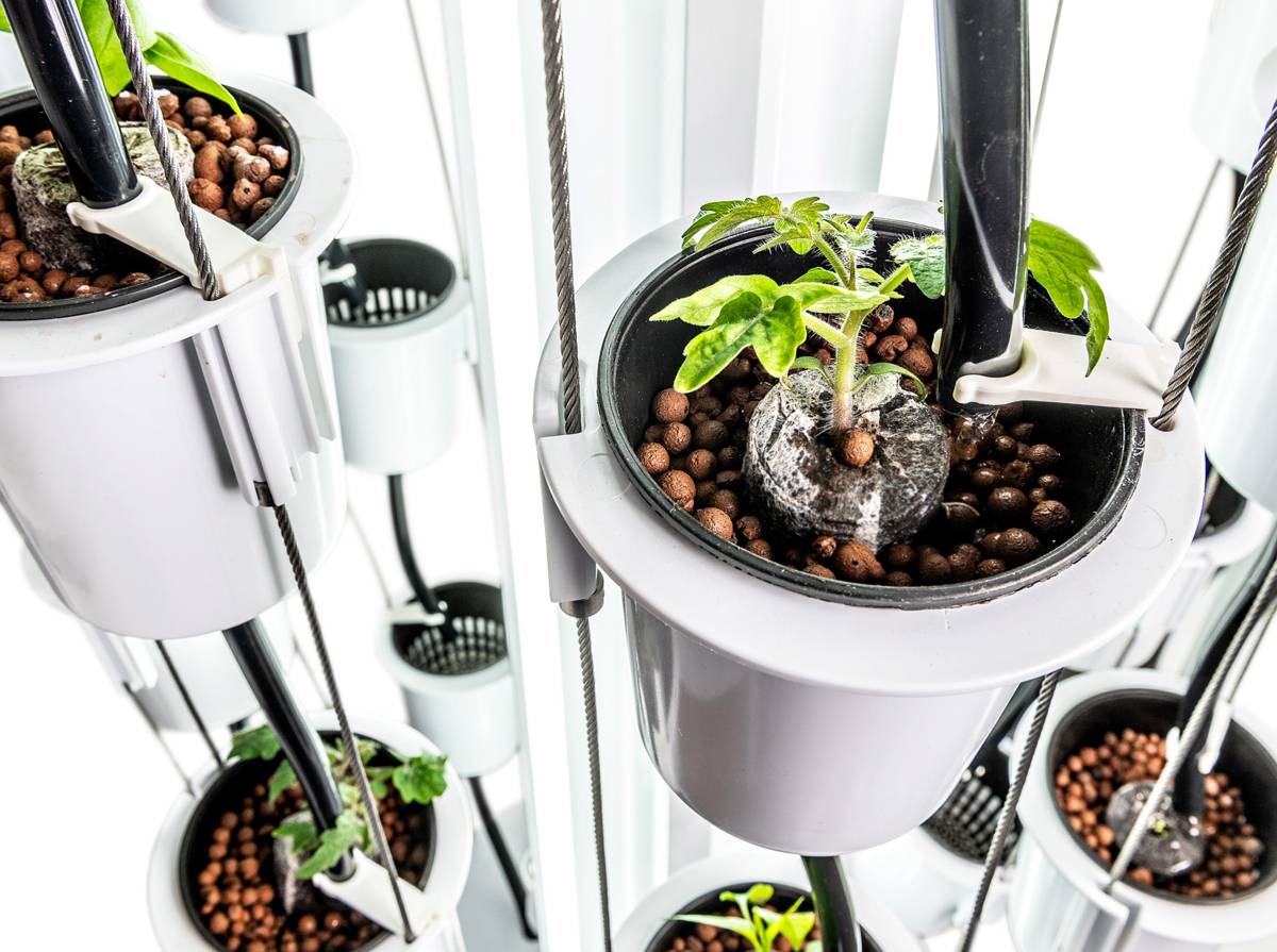NUTRITOWER Vertical Hydroponic Indoor Garden | Protégez-Vous.ca