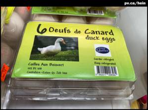 Oeufs de canard