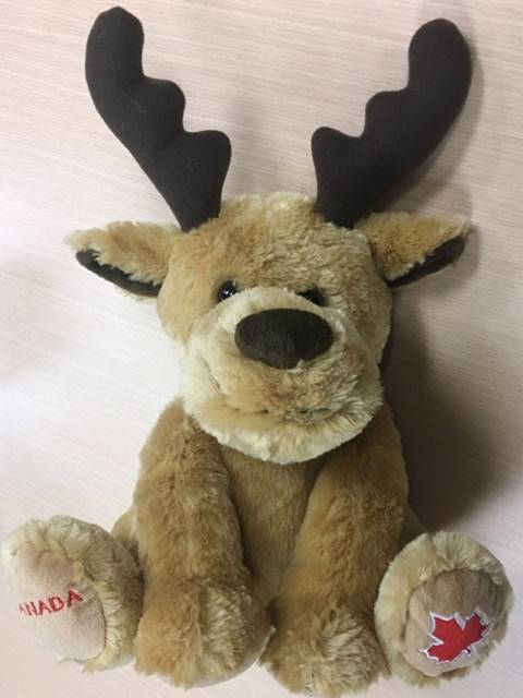Peluches Furry Friends Souvenir Canada