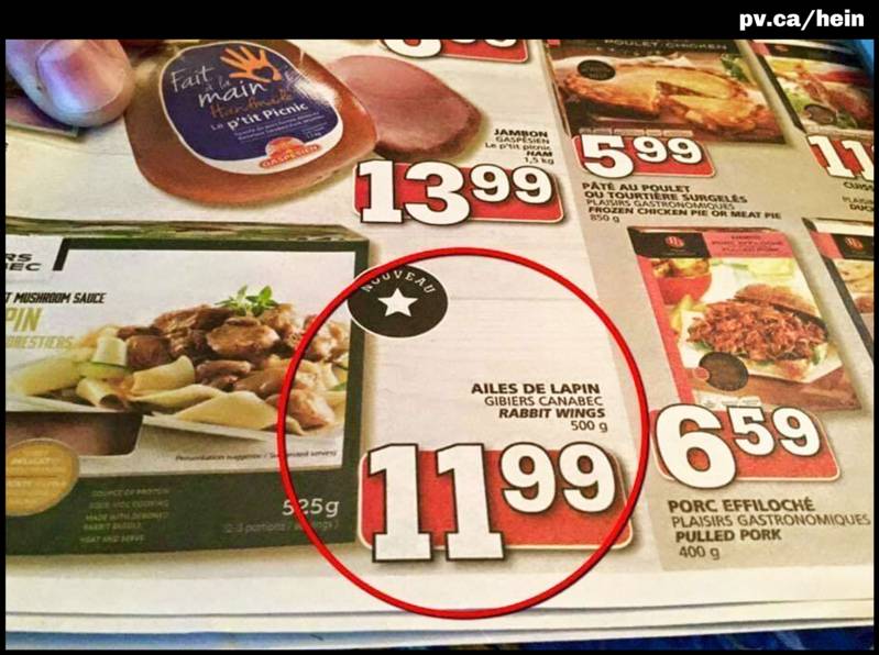 hein1131