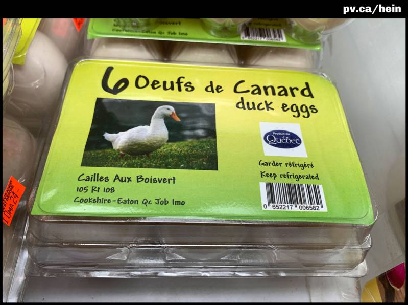 Oeufs de canard