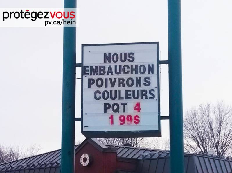 hein1038
