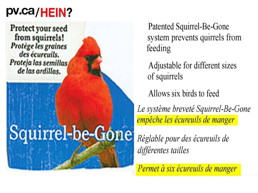 hein36