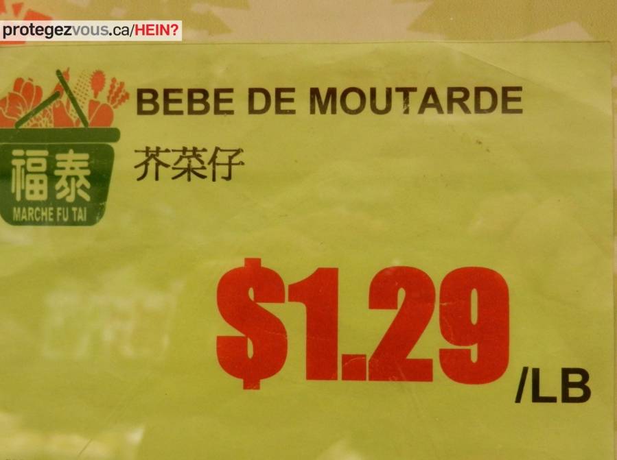 hein439