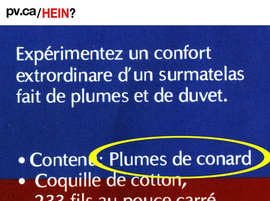 hein097